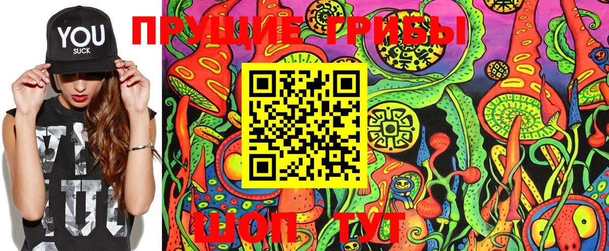 Галлюциногенные грибы Cubensis Ликино-Дулёво